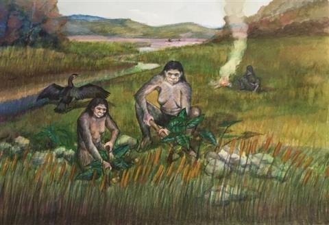 距今最久36万年！云南出土东亚最早木器 揭秘古人生存之道(图4)