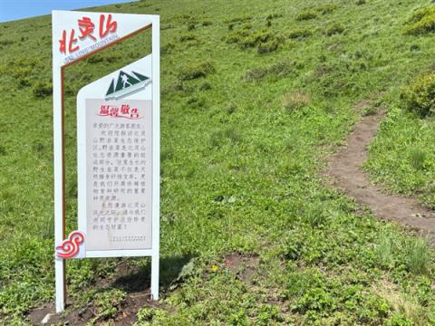数千人涌入割韭菜：北京的这座山被“薅秃了”(图6)
