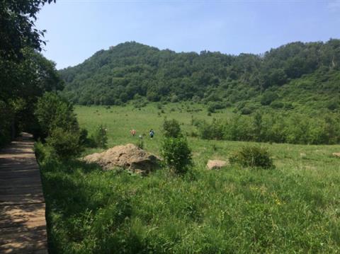 数千人涌入割韭菜：北京的这座山被“薅秃了”(图7)
