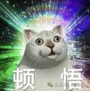稚晖君 昨夜冲进了科创板(图7)