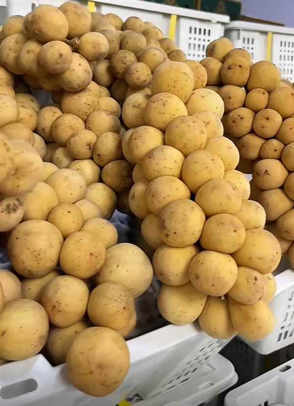 这种外表长得像土豆的水果 竟是泰国王妃们的最爱！(图7)