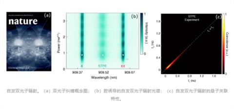 纳米“双光子工厂”问世！中大科研团队研制出新型量子纠缠光源(图2)