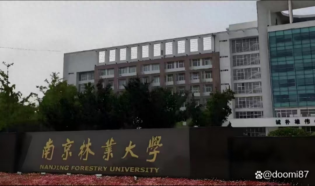 2025年我国林业类大学排名，南京林业大学第一，东北林业大学第三-趣考网