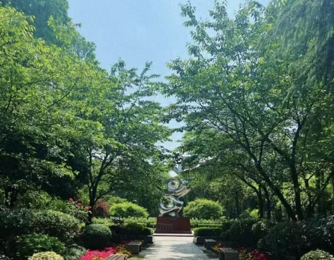 华东高校排名，东南大学第六，山东大学第八，华中师范大学第十-趣考网