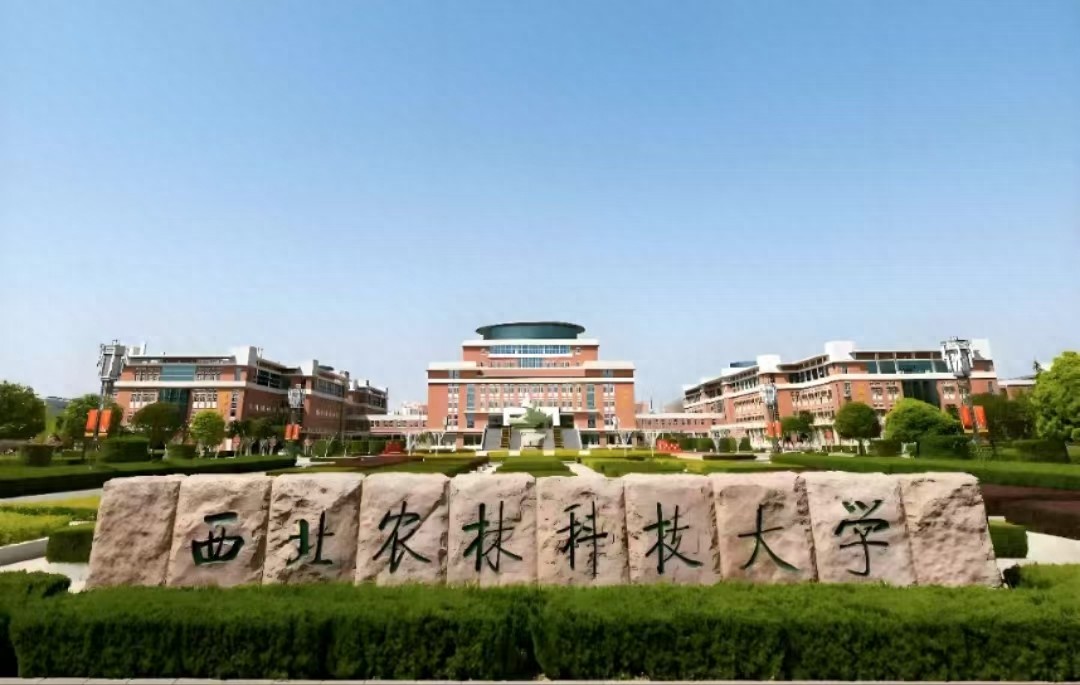 有两所大学被称为985守门员，但有优势学科，实力不容小觑-趣考网