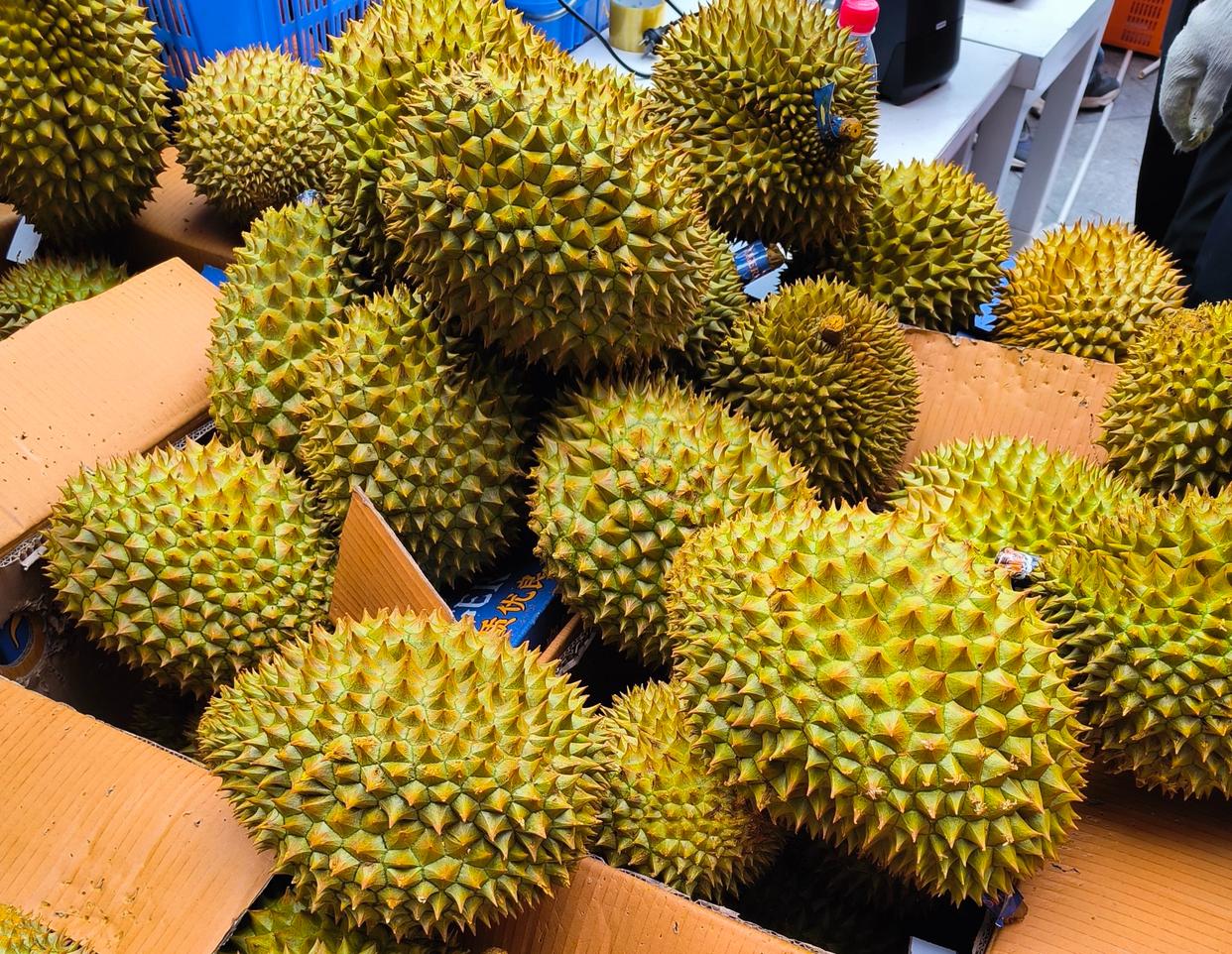 榴莲怎么挑选?五步锁定香甜饱满好榴莲-趣考网