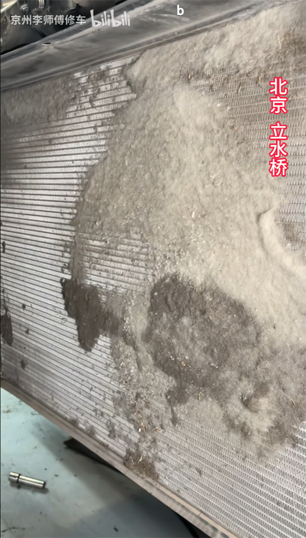 你的车可能真会被防虫网闷死！(图8)