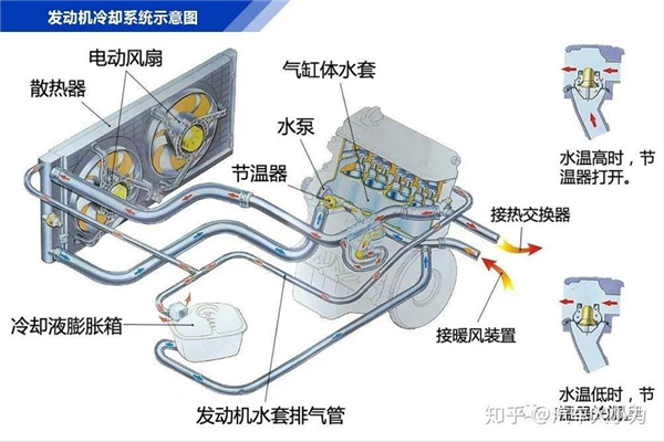 你的车可能真会被防虫网闷死！(图12)