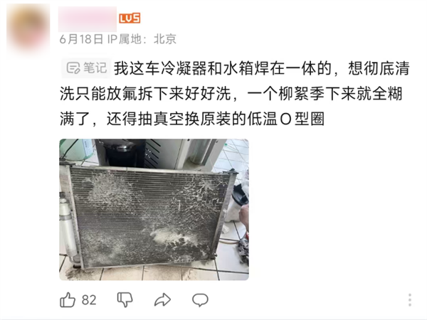 你的车可能真会被防虫网闷死！(图16)