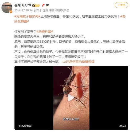河南极端高温 蚊子都被热死了 气候变化正深刻改变生态系统！