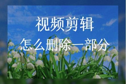 视频剪辑怎么删除一部分？简单教学-趣考网