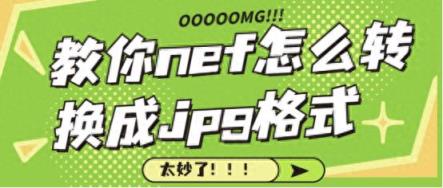 秒懂！教你nef怎么转换成jpg格式-趣考网