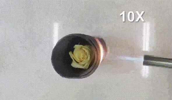 浙大研发出弹性气凝胶：2000℃热不化！(图2)
