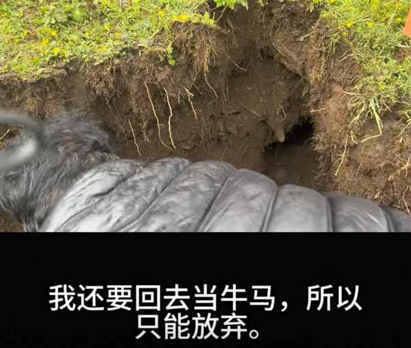 大疆Action4被土拨鼠偷走 客服小姐姐都被逗笑了(图3)