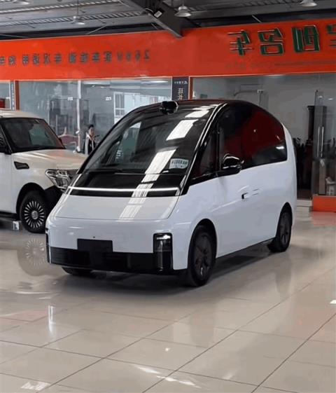 老头乐厂家把“理想L1、理想没噶”都造出来了 网友：你就说像
