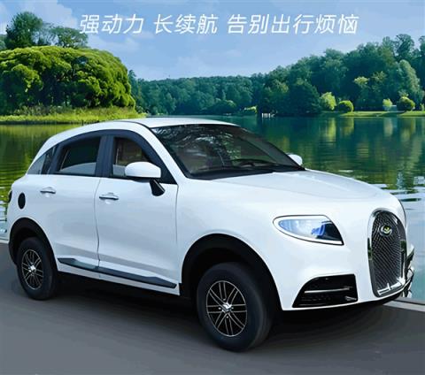 老头乐厂家把“理想L1、理想没噶”都造出来了 网友：你就说像不像吧(图2)