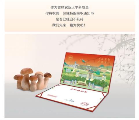 高校录取通知书可做小鸡炖蘑菇 校方回应：能吃 不影响报到(图1)