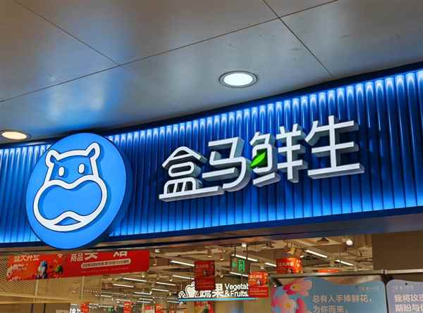 盒马最后一位联合创始人沈丽离职 创始团队集体谢幕(图1)