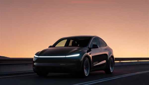 特斯拉因Robotaxi被股东起诉欺诈 马斯克怒斥律师：地球上最坏的人(图2)