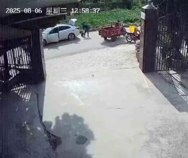 养了30多年的鳄龟被过路司机抱走 主人恳求不要杀 另一只已不吃不喝(图1)