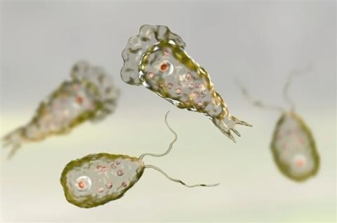 野外玩水需注意！全国多地水域发现“食脑虫”踪迹：严重可致死(图1)