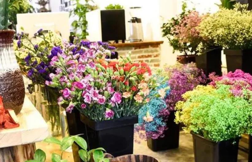 花店加盟连锁店有哪些 中国十大知名连锁花店品牌