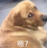 诚意满满的ModelY L 能捍卫特斯拉的王座吗?(图22)