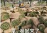 诚意满满的ModelY L 能捍卫特斯拉的王座吗?(图26)