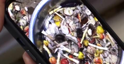 一家9口吃鹅膏菌中毒 医生：致死率非常高(图1)