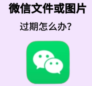怎么把微信过期文件恢复？微信过期文件恢复方法-趣考网