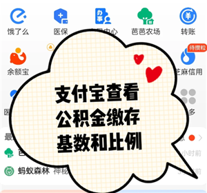 支付宝公积金缴费记录查询在哪查？支付宝公积金缴费记录查询查不到怎么办-趣考网