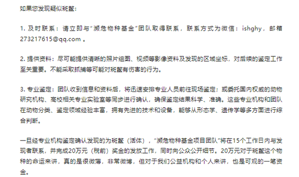 英国夫妇种植“史前摇钱树”产出首批种子 曾是恐龙的食物(图1)