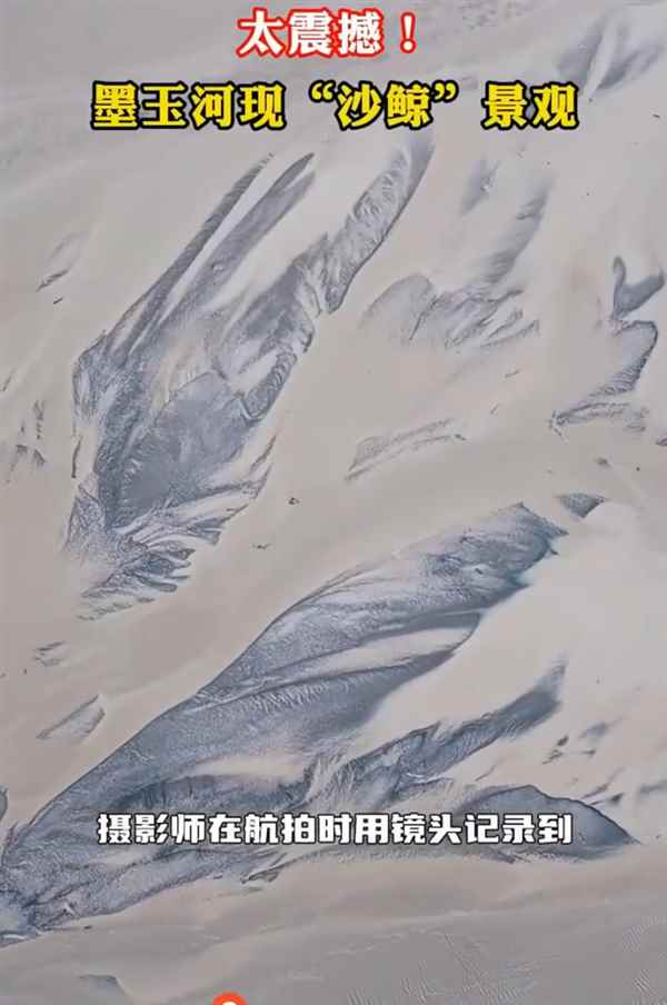 新疆一河水退去惊现巨鲸图案：长达520米(图1)