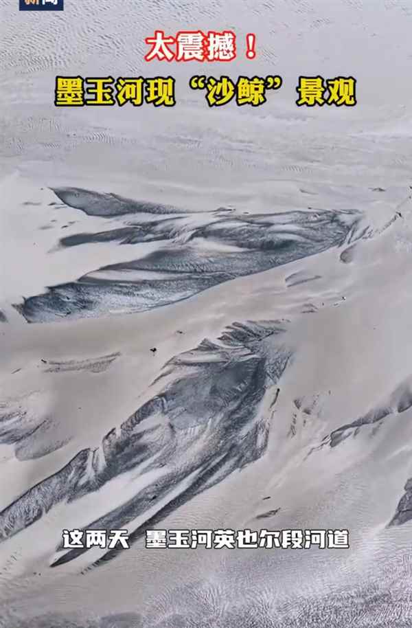 新疆一河水退去惊现巨鲸图案：长达520米(图2)