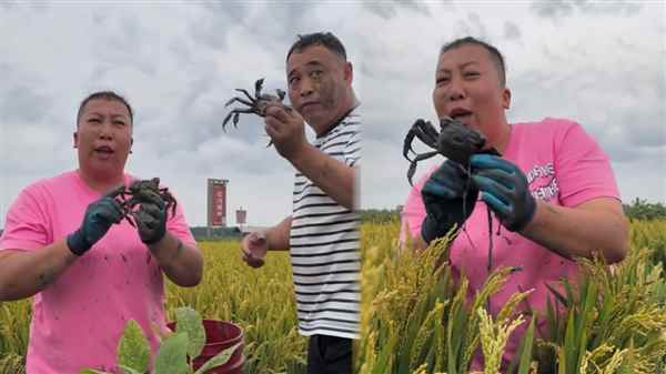 “三只羊”“东北雨姐”再被官方点名！直播电商领域重大案件(图1)