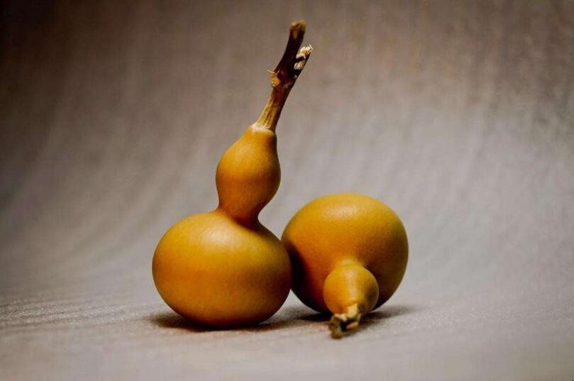 葫芦怎么保存处理-图1 葫芦怎么保存处理-图1