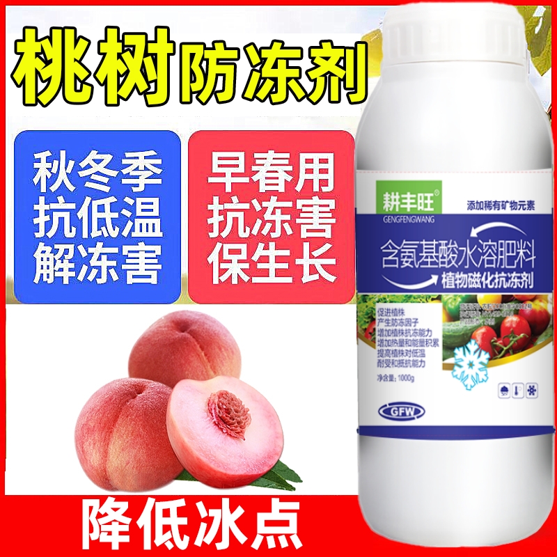 德国进口樱桃防冻剂:冬季樱桃园的守护神,让你的樱桃树安然过冬-图1 德国进口樱桃防冻剂:冬季樱桃园的守护神,让你的樱桃树安然过冬-图1