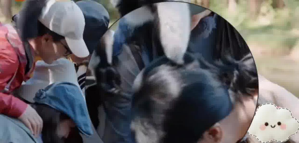 那英被猴子薅了头发