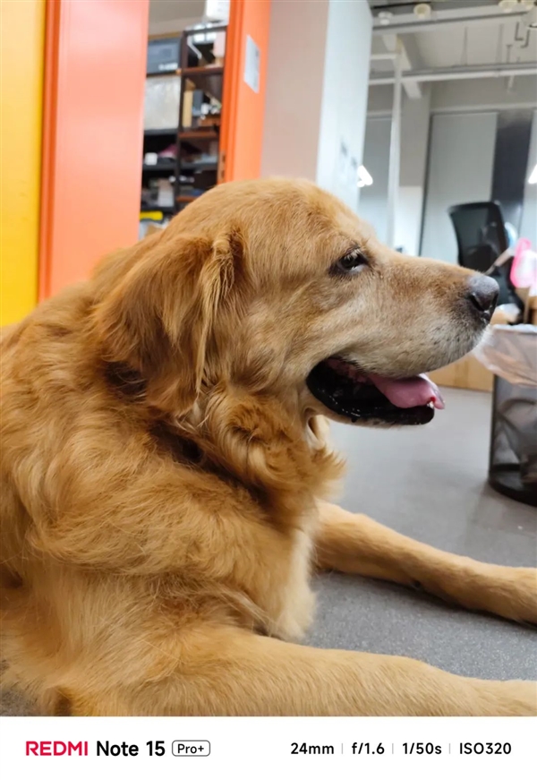 不追求极致性能的红米还是好红米吗-图17 不追求极致性能的红米还是好红米吗-图17