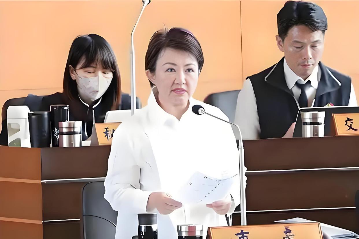 卢秀燕:我无法参选国民党主席