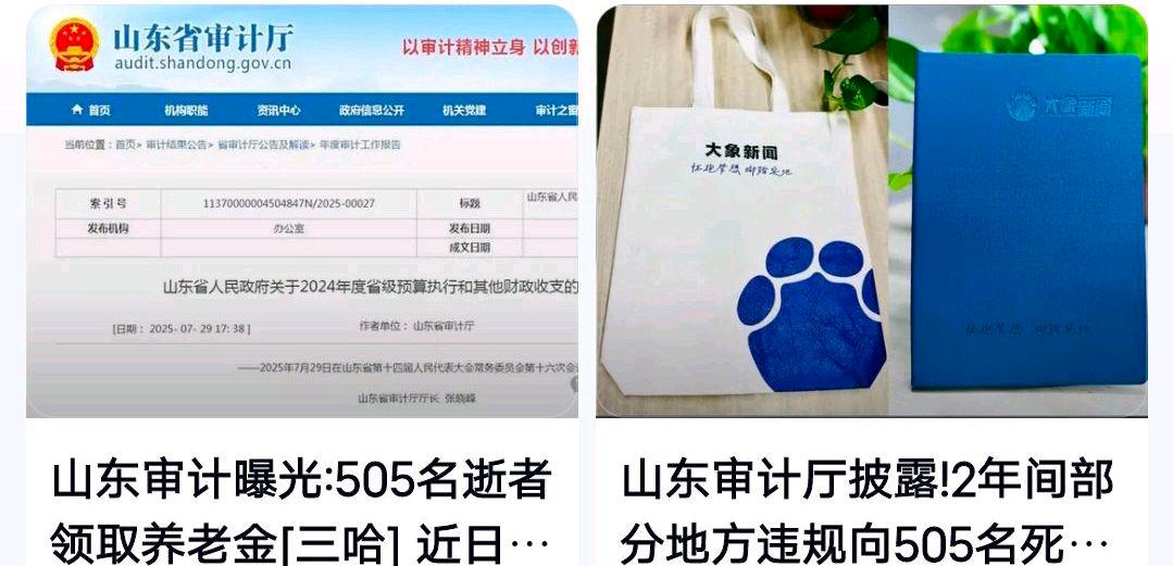 山东通报505名死亡人员被发养老保险?网友:欢心会倒追责任吗