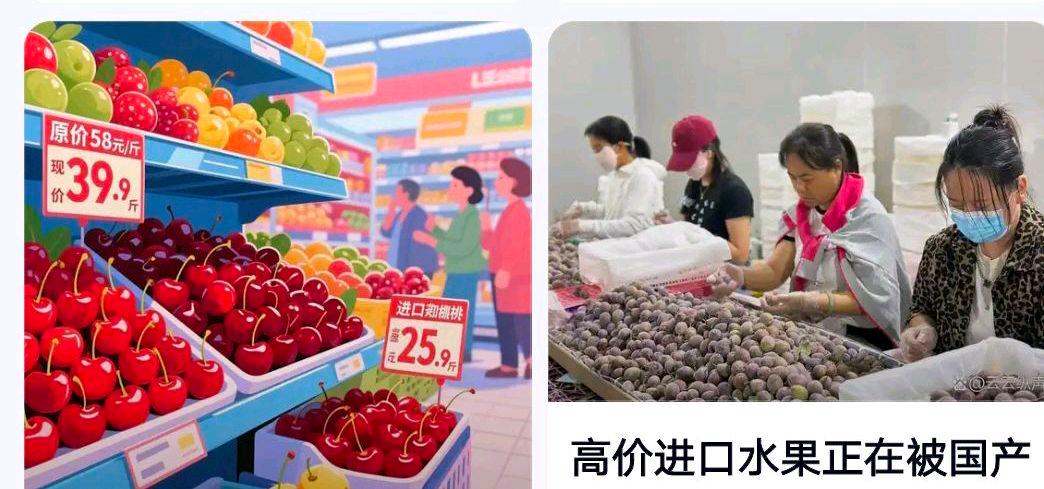 高价进口水果“跌落凡尘”?网友:欢迎未来可期