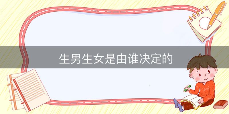 生男生女是由谁决定的-图1 生男生女是由谁决定的-图1