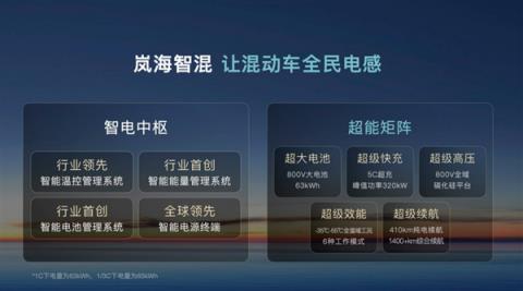 “鲲鹏”即将展翅？岚图汽车正在酝酿资本首秀(图6)
