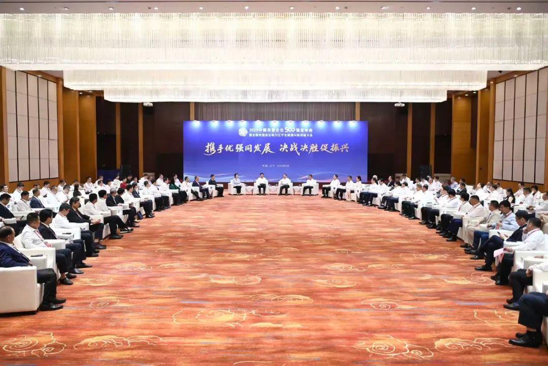 “2025中国民营企业500强”发布