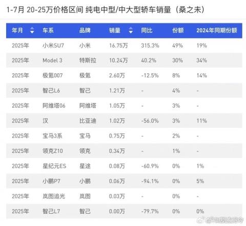 20万-25万纯电中大型轿车销量排名 小米特斯拉断层领先(图2)