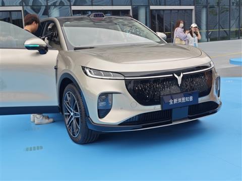 携手华为再战特斯拉ModelY！全新岚图知音上市：20.29万起(图9)