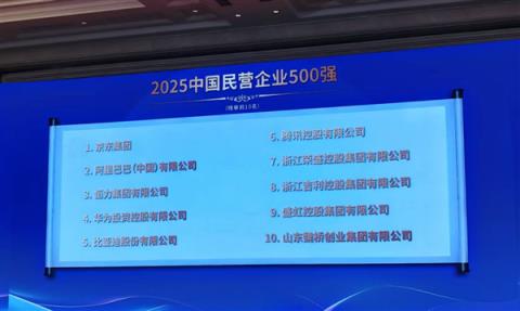 2025中国民营企业500强公布：京东阿里前二 华为未进前三(图1)