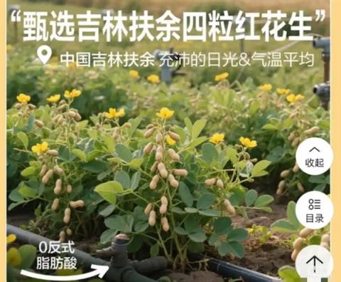 良品铺子就“花生上树”致歉：系错误使用AI生成图片(图1)
