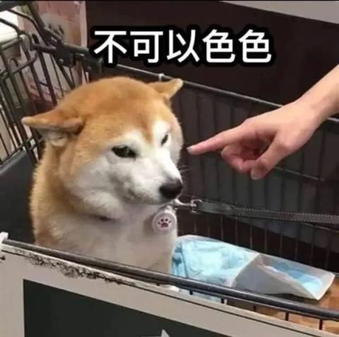 知名互联网meme原型狗 柴犬PON去世 表情包你用过吗(图2)